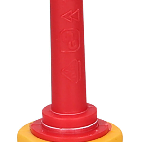 FOT_PRO_ALG_117.0542_SALL_AING_V1