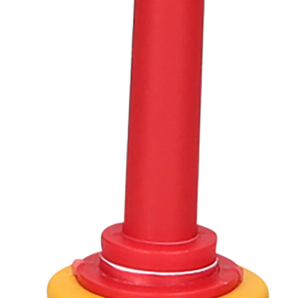 FOT_PRO_VAR_117.0542.2_SALL_AING_V1