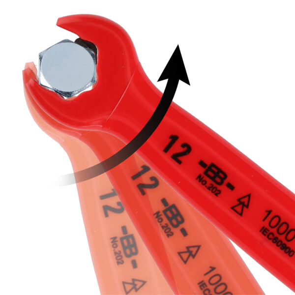 FOT_ANW_ALG_SCHL_117.226X(2-8).AW1_SALL_AING_V1