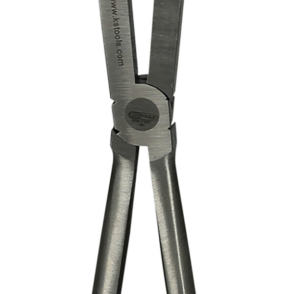 FOT_PRO_ALG_500.7167_SALL_AING_V1