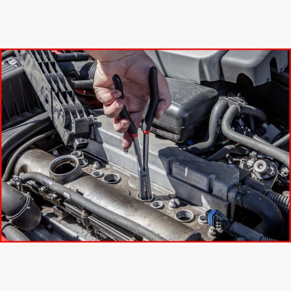 FOT_ANW_ALG_ZA_500.7XXX(166-205).AW1_SALL_AING_V1