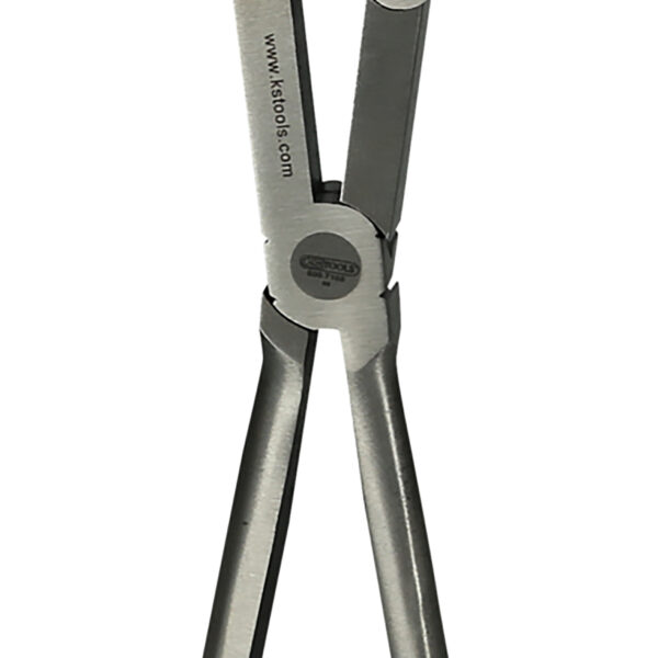 FOT_PRO_ALG_500.7166_SALL_AING_V1