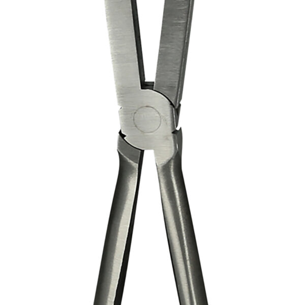 FOT_PRO_VAR_500.7166.2_SALL_AING_V1