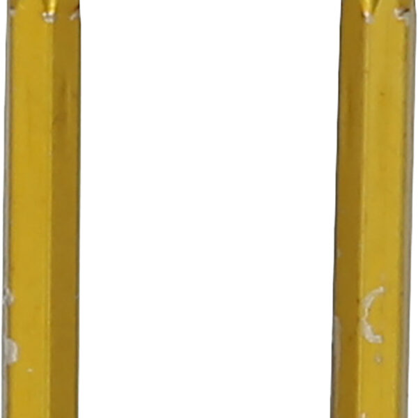 FOT_PRO_VAR_500.7017.2_SALL_AING_V1