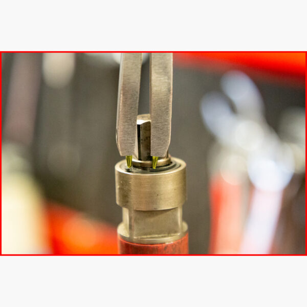 FOT_ANW_ALG_ZA_500.7017.AW2_SALL_AING_V1