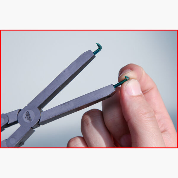 FOT_ANW_ALG_ZA_500.7027.AW1_SALL_AING_V1