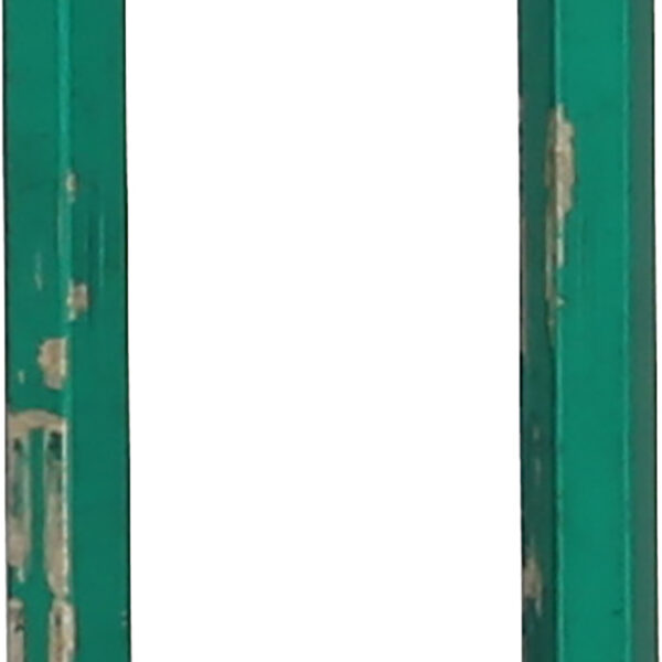 FOT_PRO_ALG_500.7023_SALL_AING_V1