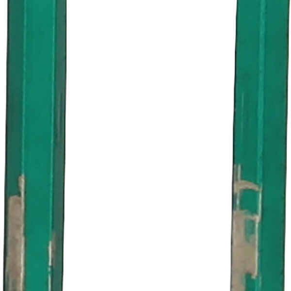 FOT_PRO_VAR_500.7023.2_SALL_AING_V1