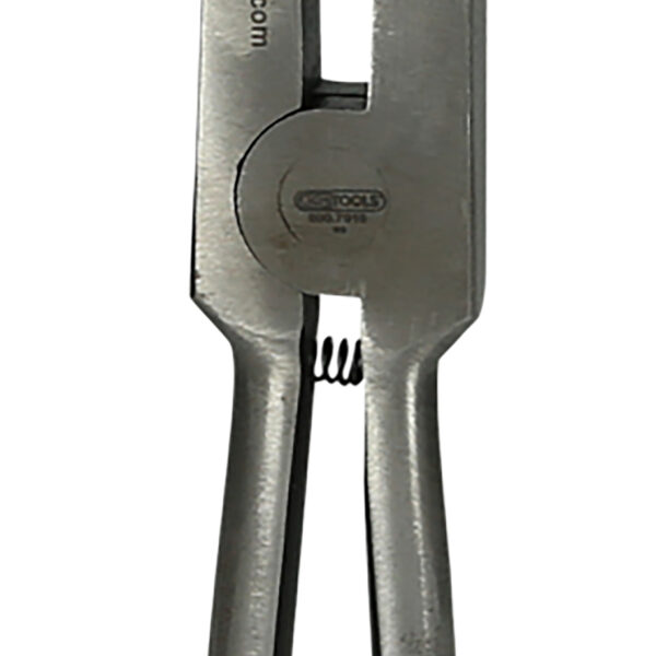 FOT_PRO_ALG_500.7016_SALL_AING_V1