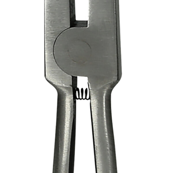 FOT_PRO_VAR_500.7016.2_SALL_AING_V1