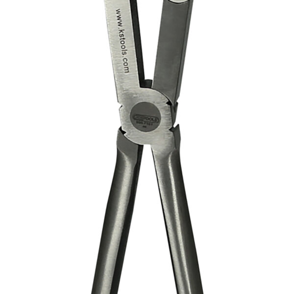 FOT_PRO_ALG_500.7161_SALL_AING_V1