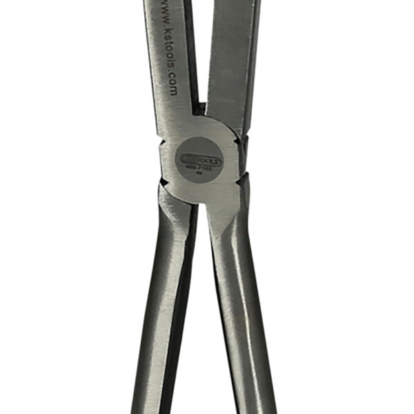 FOT_PRO_ALG_500.7163_SALL_AING_V1