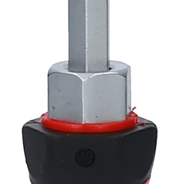 FOT_PRO_VAR_151.1219.2_SALL_AING_V1