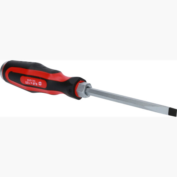 FOT_PRO_VAR_151.1219.6_SALL_AING_V1