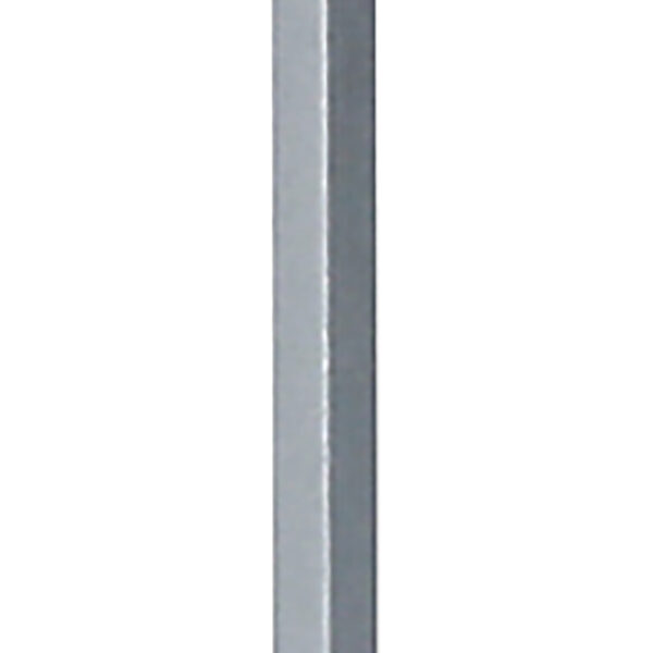 FOT_PRO_ALG_151.1216_SALL_AING_V1