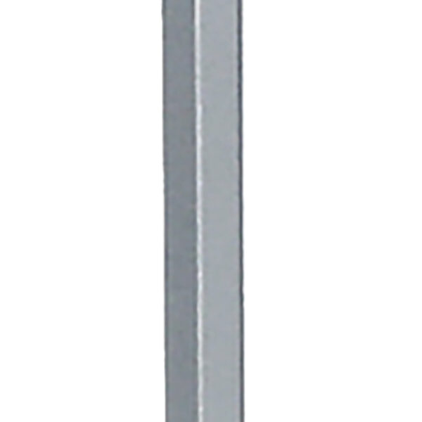 FOT_PRO_ALG_151.1108_SALL_AING_V1