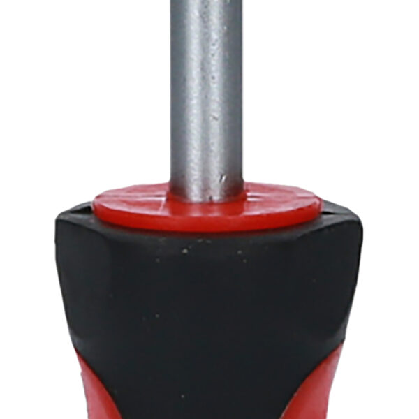 FOT_PRO_ALG_159.1259_SALL_AING_V1