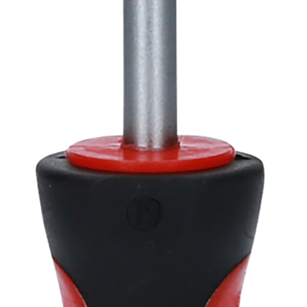 FOT_PRO_VAR_159.1259.2_SALL_AING_V1