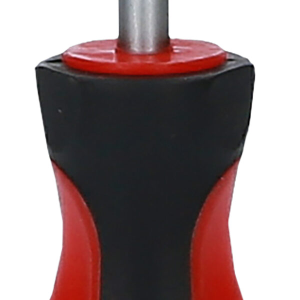 FOT_PRO_ALG_159.1258_SALL_AING_V1