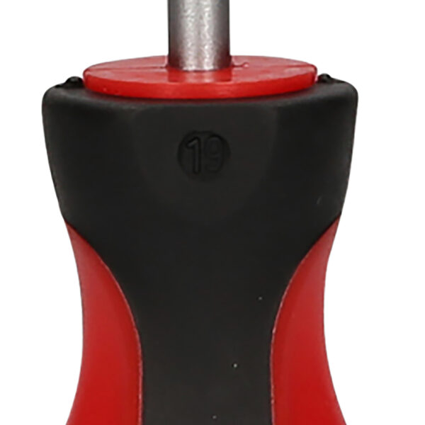 FOT_PRO_VAR_159.1257.2_SALL_AING_V1