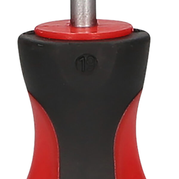 FOT_PRO_VAR_159.1256.2_SALL_AING_V1