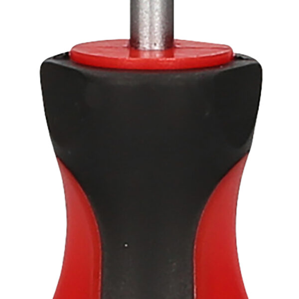 FOT_PRO_ALG_159.1255_SALL_AING_V1