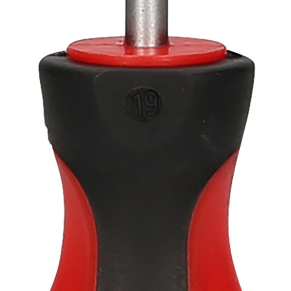 FOT_PRO_VAR_159.1255.2_SALL_AING_V1