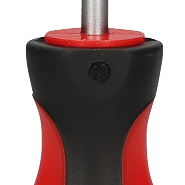 FOT_PRO_VAR_159.1254.2_SALL_AING_V1