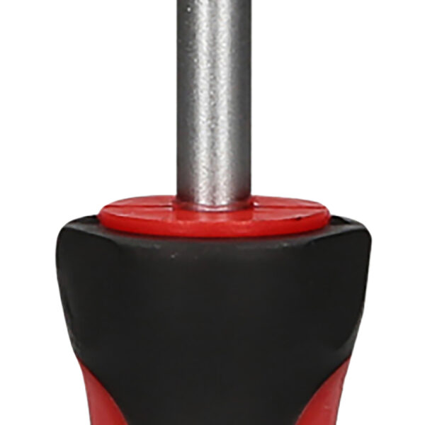 FOT_PRO_ALG_159.1252_SALL_AING_V1