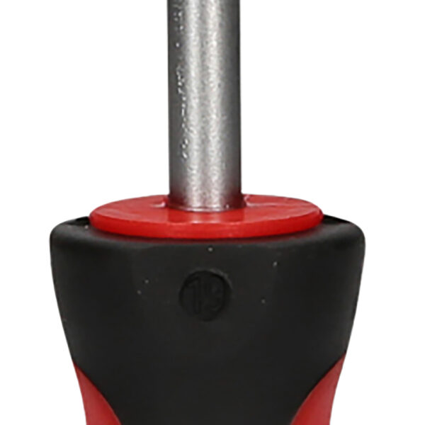 FOT_PRO_VAR_159.1252.2_SALL_AING_V1