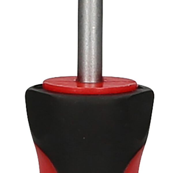 FOT_PRO_ALG_159.1251_SALL_AING_V1