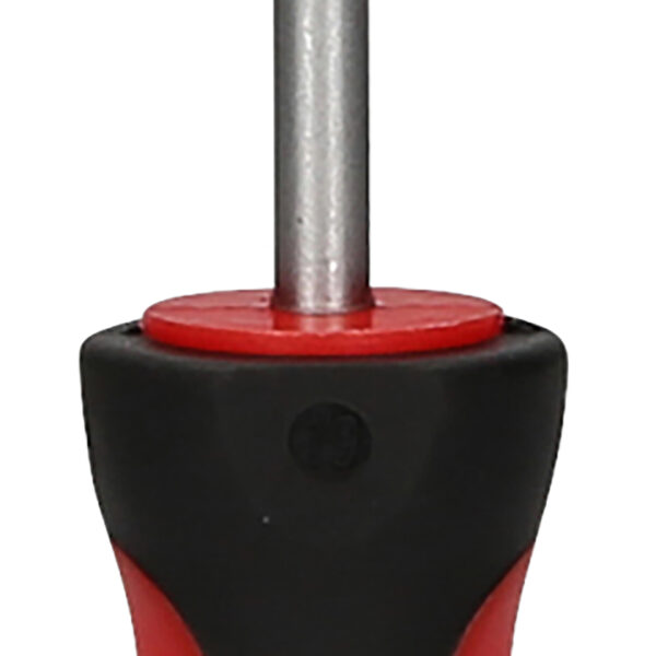 FOT_PRO_VAR_159.1251.2_SALL_AING_V1