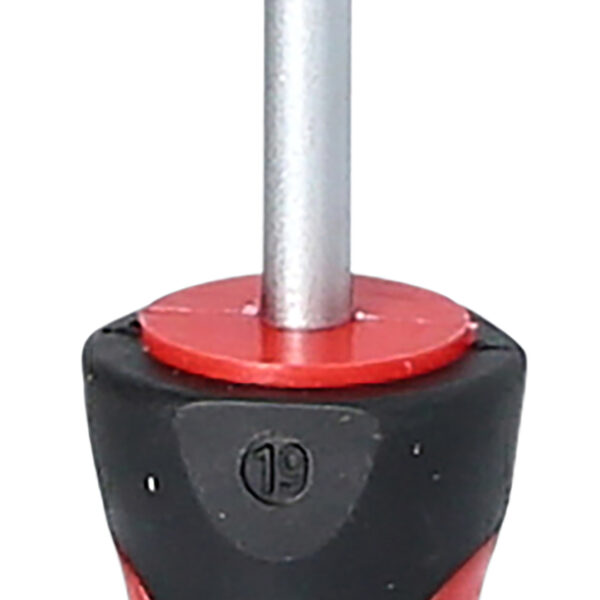 FOT_PRO_VAR_159.1249.2_SALL_AING_V1