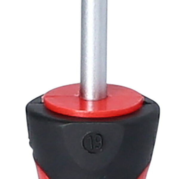 FOT_PRO_VAR_159.1247.2_SALL_AING_V1