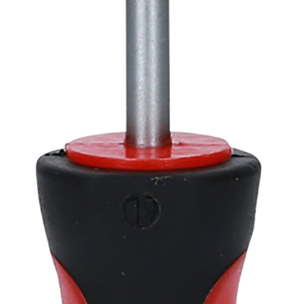 FOT_PRO_VAR_159.1246.2_SALL_AING_V1