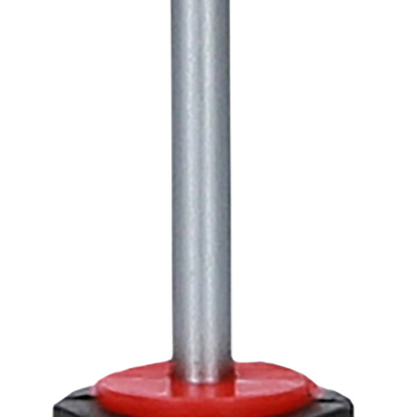 FOT_PRO_ALG_159.1243_SALL_AING_V1