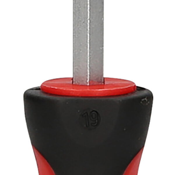 FOT_PRO_VAR_159.1227.2_SALL_AING_V1