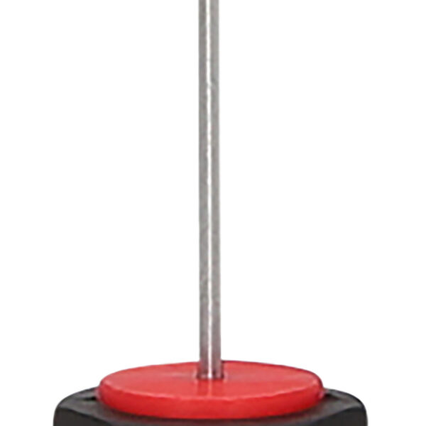 FOT_PRO_ALG_159.1221_SALL_AING_V1