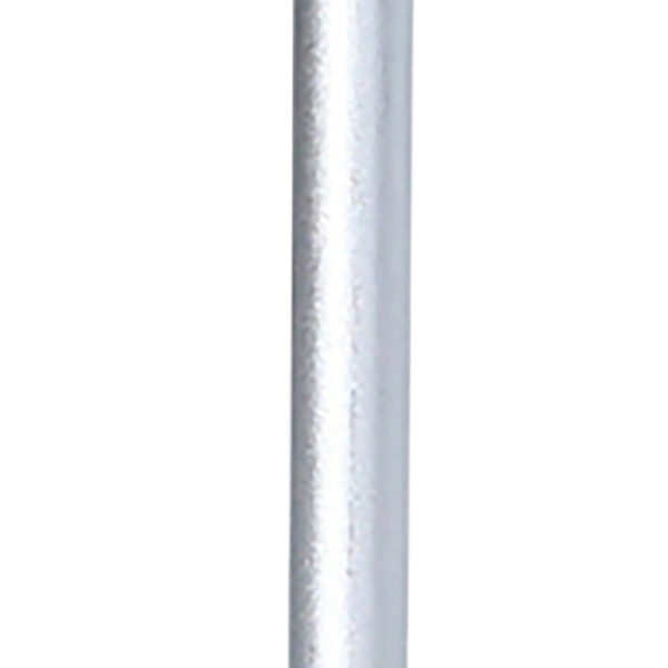 FOT_PRO_ALG_159.1191_SALL_AING_V1