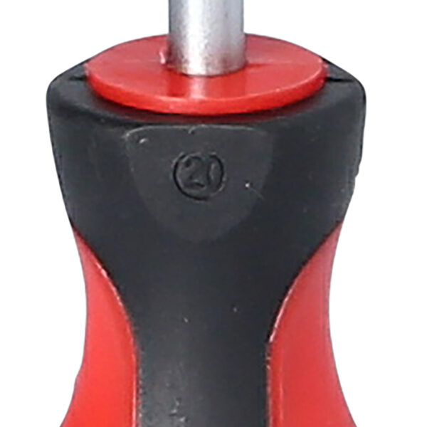 FOT_PRO_VAR_159.1185.2_SALL_AING_V1