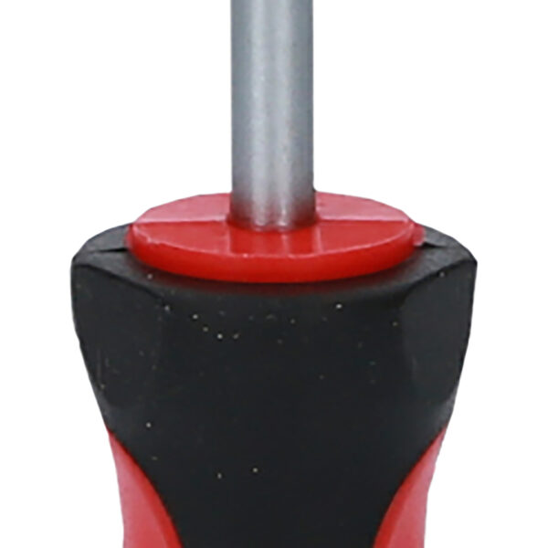 FOT_PRO_ALG_159.1184_SALL_AING_V1