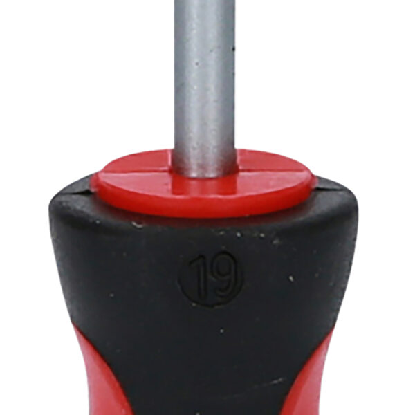 FOT_PRO_VAR_159.1184.2_SALL_AING_V1