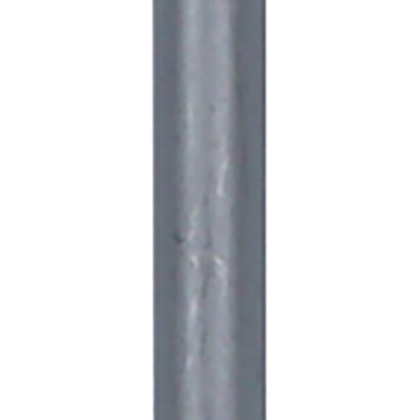 FOT_PRO_ALG_159.1159_SALL_AING_V1