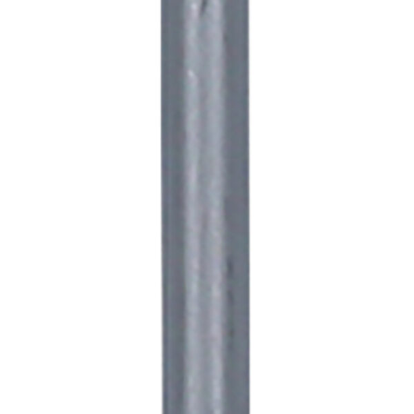 FOT_PRO_ALG_159.1158_SALL_AING_V1