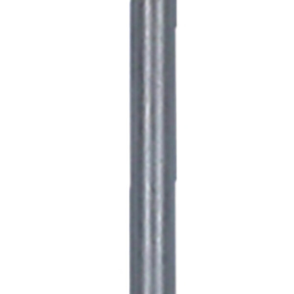 FOT_PRO_ALG_159.1156_SALL_AING_V1