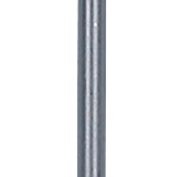 FOT_PRO_ALG_159.1152_SALL_AING_V1