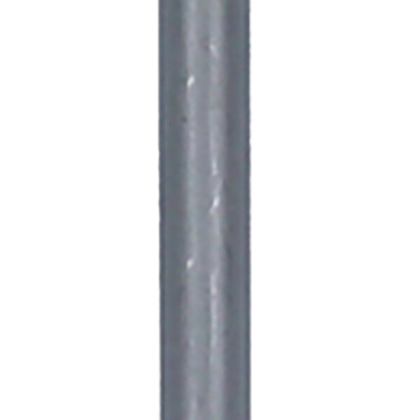 FOT_PRO_ALG_159.1151_SALL_AING_V1