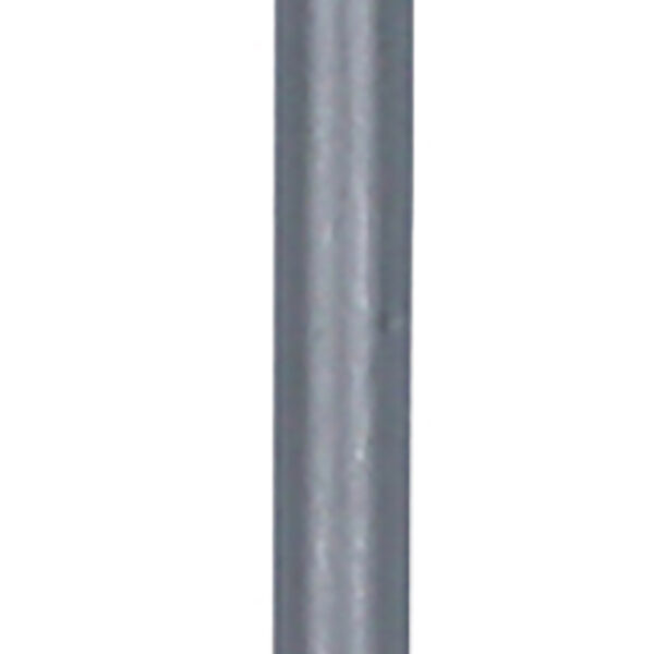 FOT_PRO_VAR_159.1151.2_SALL_AING_V1