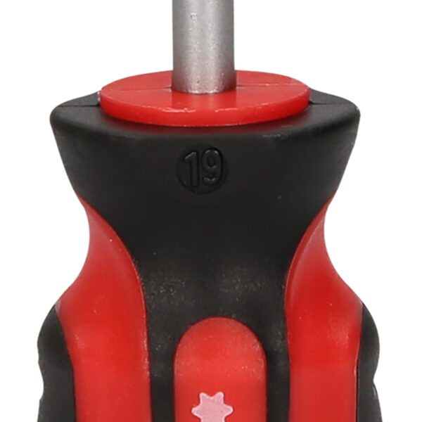 FOT_PRO_VAR_159.1145.2_SALL_AING_V1