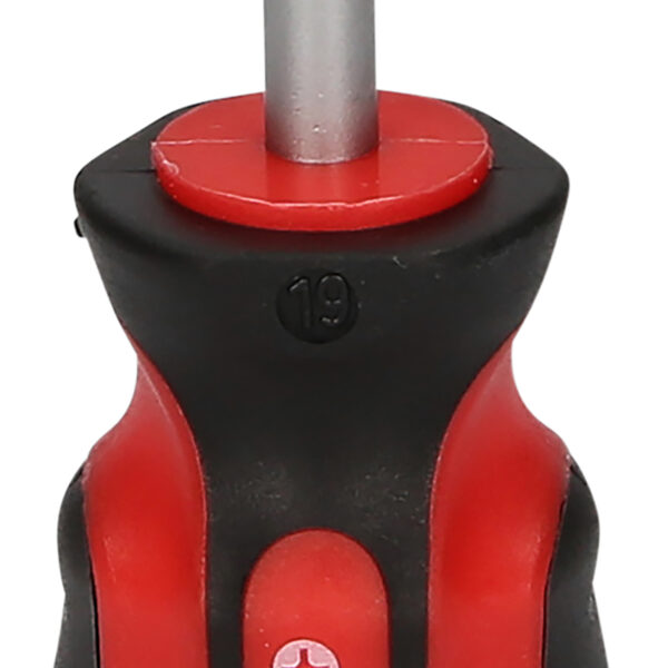 FOT_PRO_VAR_159.1141.2_SALL_AING_V1